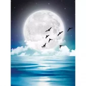 Painting by Numbers, 30x40cm, In the Moonlight