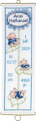 Broderisett: Dåp, Aron