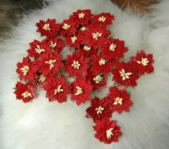 Papirblomster: Julestjerner, Beige Bær