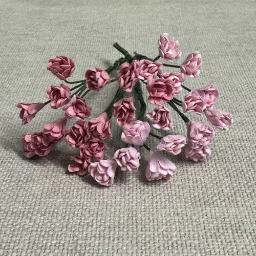 Papirblomster: Rufseknopper, Rosa