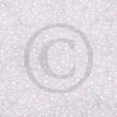 gallery-1099-for-PD1313