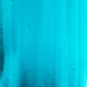 gallery-671-for-PA249411