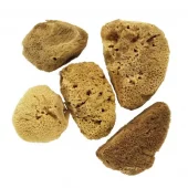 gallery-274-for-PA512645