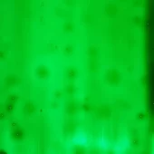 gallery-672-for-PA249413