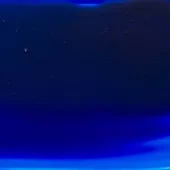 gallery-416-for-PA249016