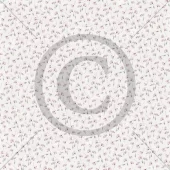 gallery-1119-for-PD2200855