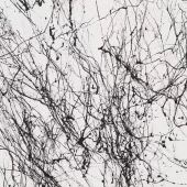 gallery-344-for-PA121101