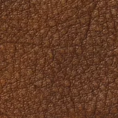 gallery-663-for-PA107725