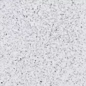 gallery-343-for-PA121044