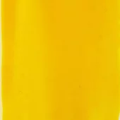 gallery-421-for-PA249401