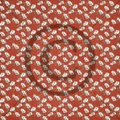 gallery-1145-for-PD01235