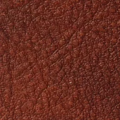 gallery-592-for-PA107727