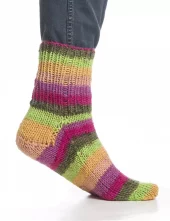 gallery-80-for-VN19744