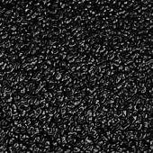 gallery-599-for-PA110666