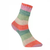 gallery-3-for-VN19631