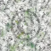 gallery-1102-for-PD1471