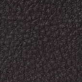 gallery-590-for-PA107724