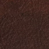 gallery-591-for-PA107726