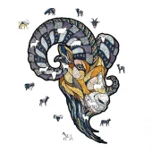 gallery-1331-for-100231