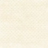 gallery-1511-for-RARP0451