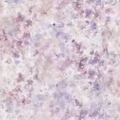 gallery-1526-for-RARP0642