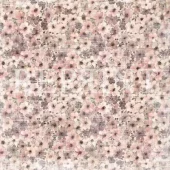 gallery-1528-for-RARP0646