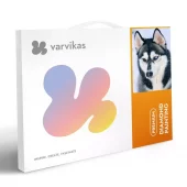 gallery-1579-for-VAR-LE130e