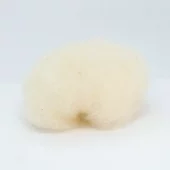 gallery-1673-for-HU21647