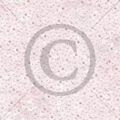 gallery-1826-for-PD1613