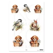 Motivark: Fugler/Hund