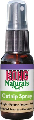 KONG Premium Catnip Spray, CCSE, 3 stk.