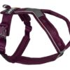 Non-stop Line harness 5.0, purple, 2