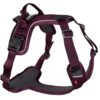 Non-stop Ramble harness, purple L