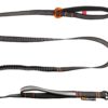 Non-stop Touring Bungee Adjustable Leash