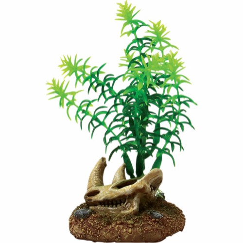 Akvariedekorasjon Plante med Kranie 6,5x6,3x11,5 cm