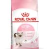 RC Kitten 2KG