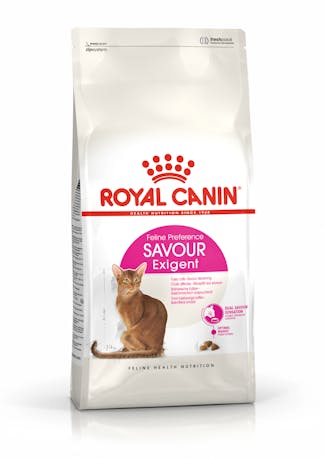 RC Savour Exigent 4KG