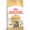 RC Maine Coon Adult 4KG