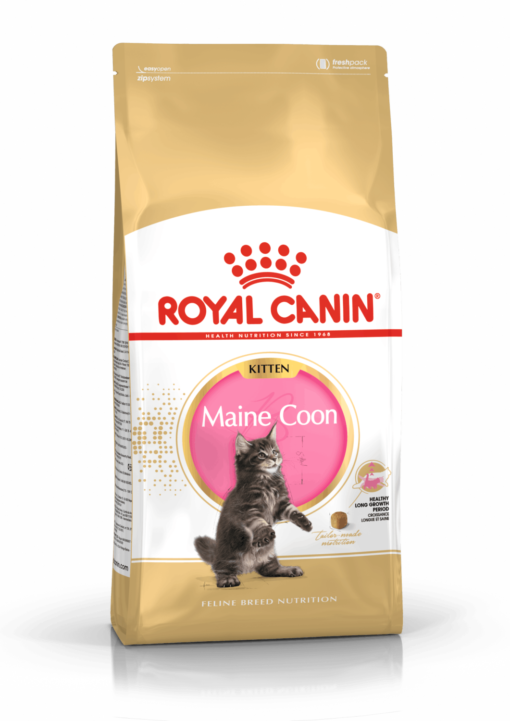 RC Maine Coon Kitten 10KG