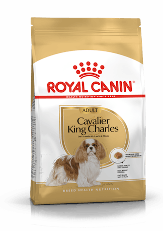RC Cavalier King Charles 1,5KG