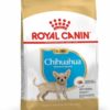 RC Chihuahua Puppy 1,5KG