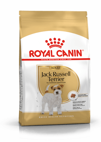 RC Jack Russel Terrier Adult 1,5KG