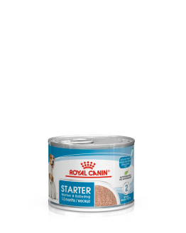 RC Mother and Babydog Starter Mousse 12x195g