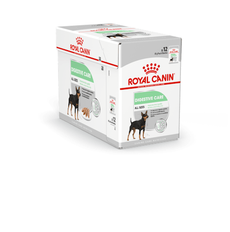 RC Digestive Care Wet 12x85g