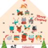 Companion Xmas Julens adventskalender Katt