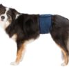 Trixie Hannhundtruse til hannhunder S 29-37cm 23661