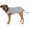Beskyttelse Drakt til Hund L/XL 62cm Grå