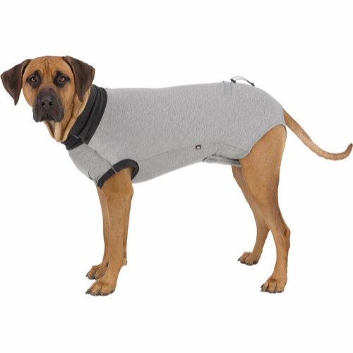 Beskyttelse Drakt til Hund L/XL 62cm Grå