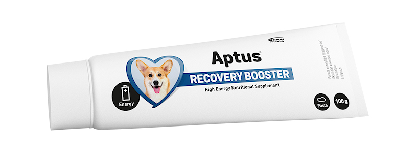 APTUS Reconvalescent Dog 100g (best før dato 06.2025)