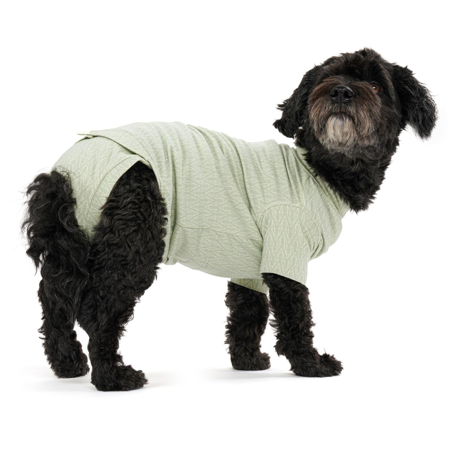 BUSTER Body Suit Step´n Go For Dogs, M 45cm, Dusty Green